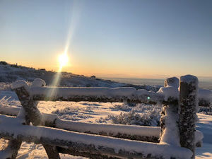 Meet your Posher, Savannah